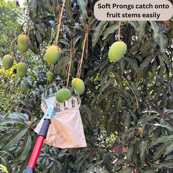 1 Set Fruit Picker Fruit Picking Tool With Storage Bag